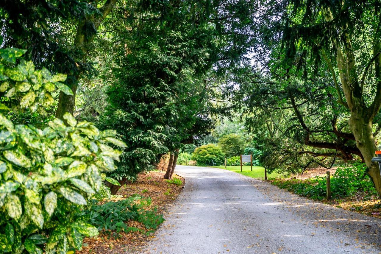 Middlethorpe Manor - No 4 Relaxation And Peace Villa York Dış mekan fotoğraf